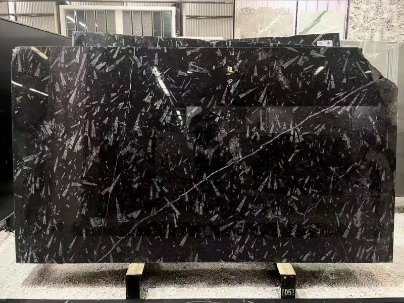 Fossil Black Marble Slab
